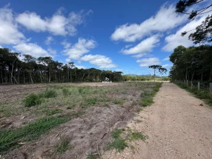 Chacará a Venda em Tijucas do Sul - Tabatinga
