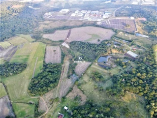 Área no Campo Largo da Roseira