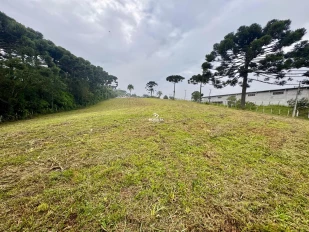 Chacara  no Campo Largo da Roseira