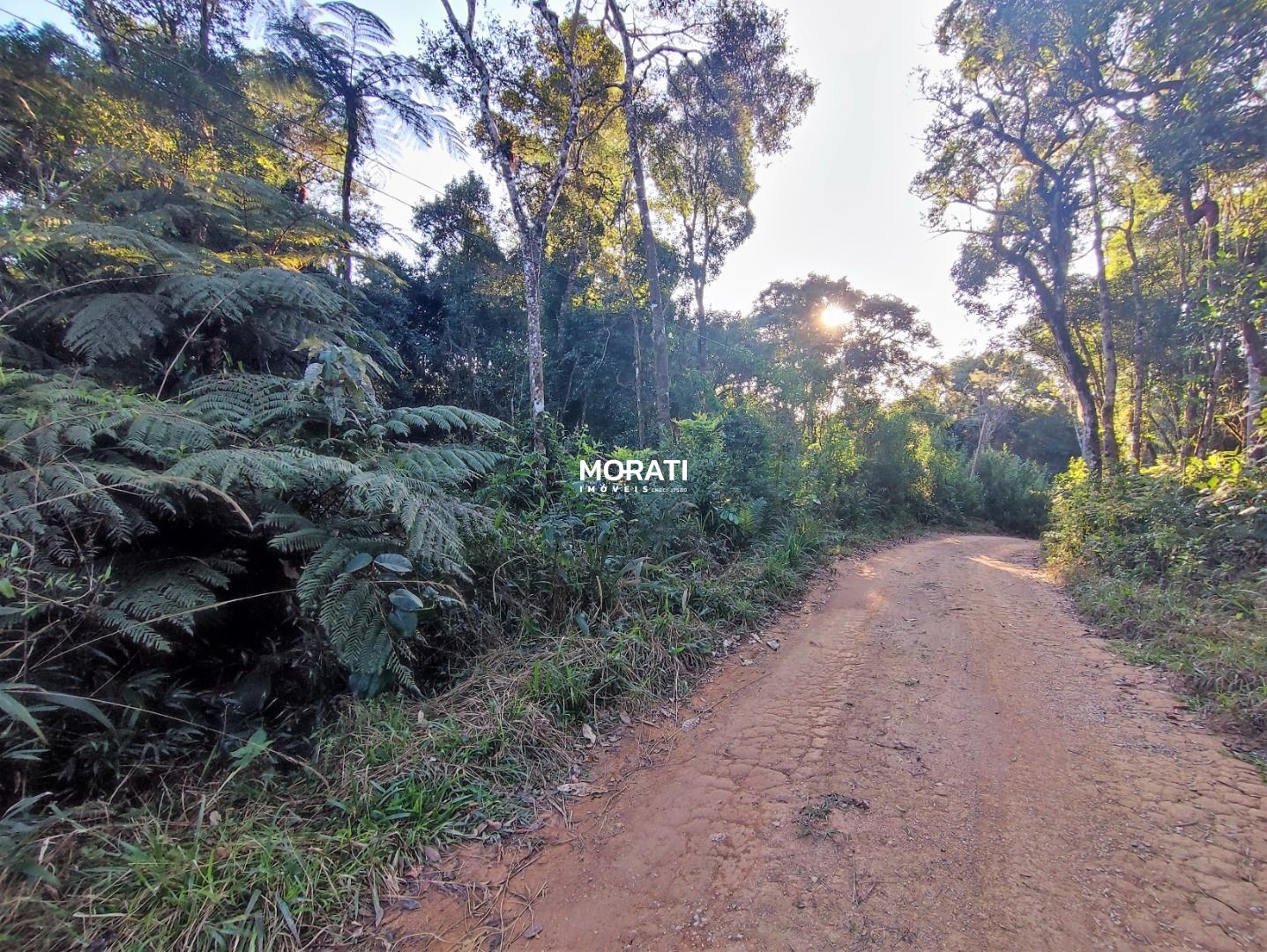 Chacara  em São José dos Pinhais