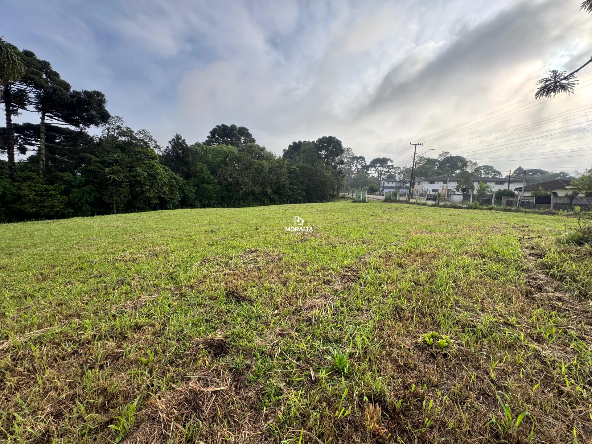 Chacara  no Campo Largo da Roseira
